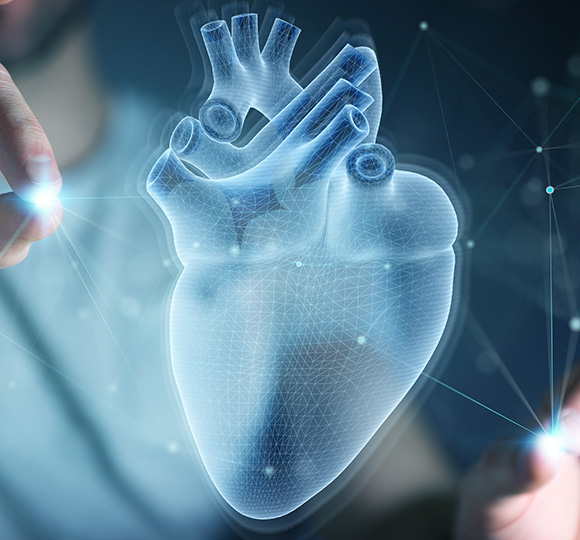 3D holographic representation of a human heart with a hand interacting with it.