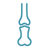 Simple line icon of a bone joint illustration