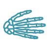 Teal icon of a human hand skeleton, musculoskeletal imaging