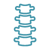Icon of a spine illustrating neuroradiology imaging services