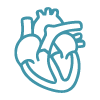 Simple teal line icon of a human heart