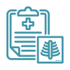 Icon of medical clipboard and lung imaging scan graphic