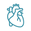 Simple line icon of a human heart representing cardiac imaging services