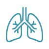 Simple line icon of human lungs representing thoracic imaging