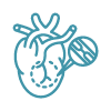 Simple line illustration of a heart with cardiac CT scan icon