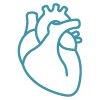 Simple line icon of a human heart representing cardiac imaging
