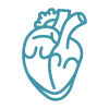 Simple line-art icon of a human heart