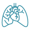 Line art icon of human lungs and heart, cardiac and thoracic imaging