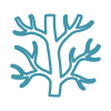 Simple line-art icon of a coral-shaped anatomical branch structure