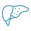Simple teal line icon illustration of a human liver