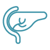 Simple line icon of a liver representing gastrointestinal radiology imaging