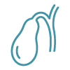 Simple line icon of a gallbladder and bile duct